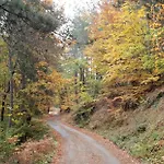 Karadzhovata Kashta 3*