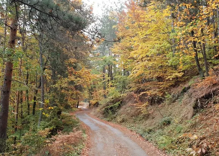 Karadzhovata Kashta 3*